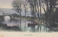 Old Man Rowing Boat at Zurichorn Switzerland Antique Postcard