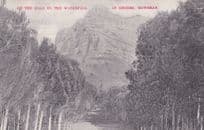 On The Road To The Waterfall Rhodes Mowbray Old Postcard