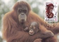 Orangutan Ape WWF Indonesian Stamp Rare FDC Postcard