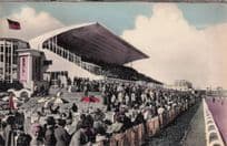 Ostende Champ De Course Horse Racing Belgium Postcard