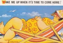 Overweight Comic Postcards