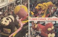 Panda & Chinese Cat Made Of Flowers Parade Spalding 1970s Postcard