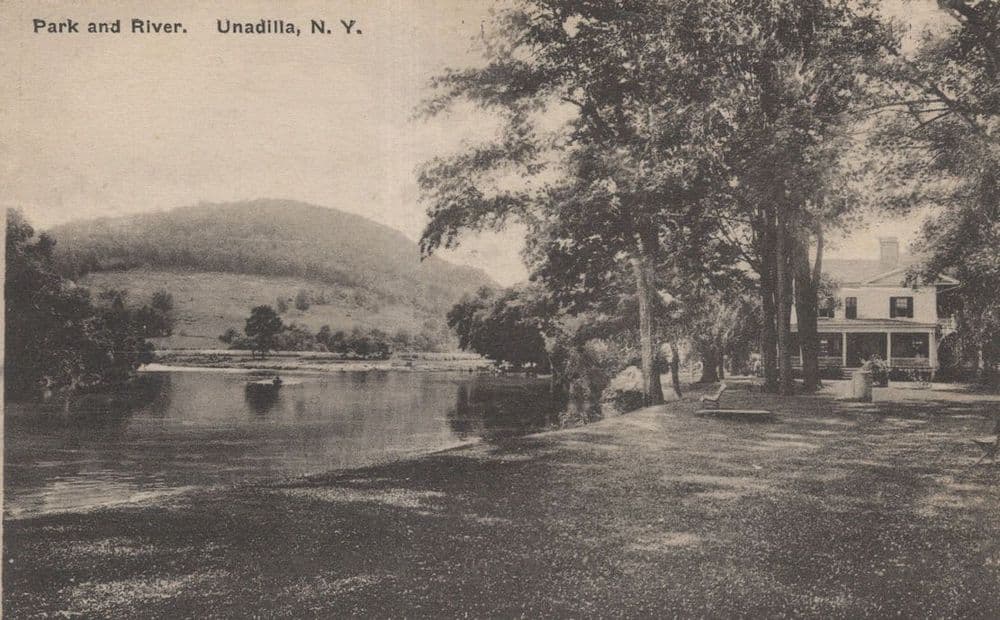 Park & River Unadilla New York USA Old Postcard