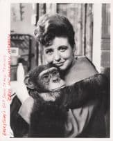 Pat Phoenix Coronation Street & Chimpanzee TV Show Press Photo
