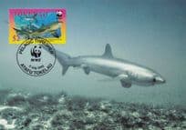 Pelagic Thrasher Shark New Zealand Tokelau Ltd FDC Stamp Postcard
