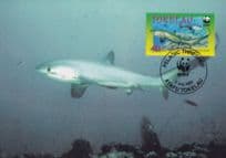Pelagic Thrasher Shark Tokelau New Zealand WWF Stamp FDC Postcard