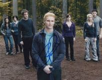 Peter Facinelli Carlisle Cullen Twilight 10x8 Hand Signed Photo