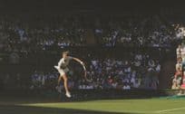 Petra Kvitova Ladies Wimbledon Tennis 2014 Final Champion Postcard