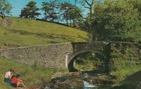Picnic at Goyts Bridge Derby 1970s Postcard