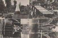 Poland Polish Waterfalls Statues Of Neptune 4x Old Postcard s