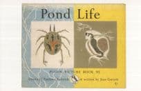 Pond Life 1964 Puffin Picture Book Postcard