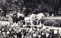 Pony Donkey Rides At London Zoo Wildlife Park 1950s Old Real Photo Postcard