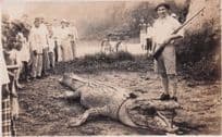 Port Swettenham Animal Hunter Rifle Dead Bicycle Malaya RPC Old Postcard