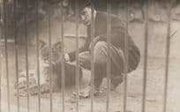 Posh Italian Man With Bowler Hat Tames Angry Tiger RPC Old Postcard