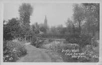 Pretty Walk Wargrave Village Berkshire Old Real Photo Postcard