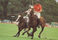 Prince Charles Horse Show Smith Lawn Windsor Postcard