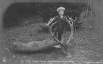 Prinz Wilhelm Of Prussia & Fathers Animal Hunting Trophy Heads Old Postcard
