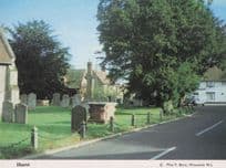 Pub Inn at Hurst Berkshire Church Green Womens Institute Postcard