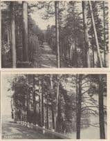 Punkaharju Finland 2x Antique Postcard s