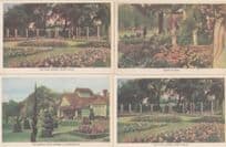 Queen Elizabeth Dairy Roses A Rose Garden 4x Old Postcard s