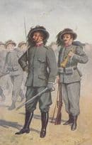 R Egercito Royal Italian Army Bersagliere Military Uniform Italy Postcard