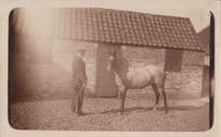 Race Racing Horse Training At Stable Farm Stables Antique Real Photo Postcard