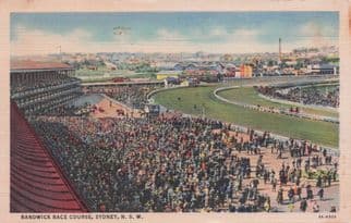Randwick Horse Race Course Sydney Australia Antique Postcard