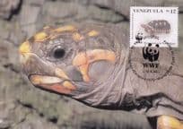Red Footed Tortoise Venezuela WWF Rare Stamp FDC Postcard