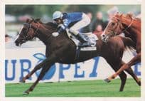 Red Roses Story Corine Barande-Barbe Royal Oak French Horse Race Postcard