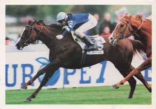 Red Roses Story Corine Barande-Barbe Royal Oak French Horse Race Postcard