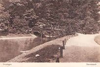 Restaurant Cafe Bodega Walenburgerhof Rotterdam Holland Real Photo Postcard