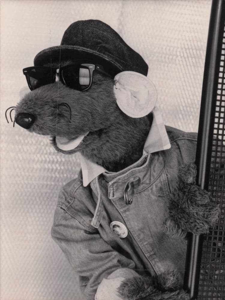 Sunak Roland Rat Roland Rat Of TVAM Breakfast Television 1985 BBC TV Press Photo