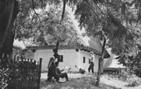 Romania Casa Taraneasca Dumitra Raion Alba Romania Postcard