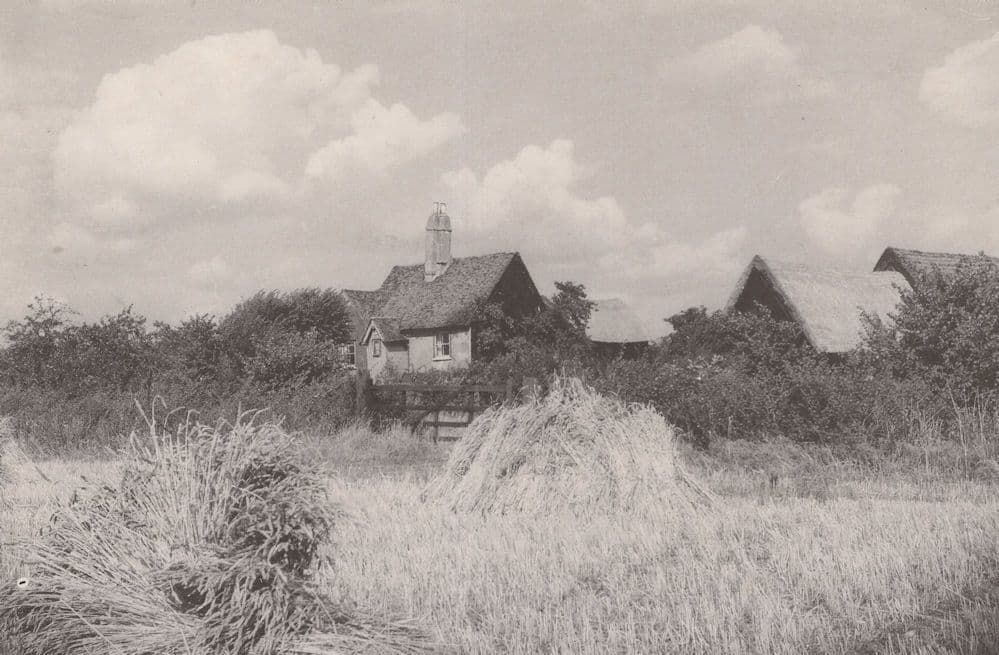 Aprender sobre 59+ imagem rose lane farms br.thptnganamst.edu.vn