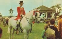 Royal Pageantry Fete Horse Show School Children 1970s Postcard