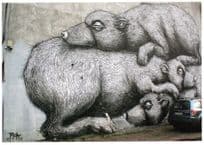 Russian Otters Stoats By Vandal Sprayed Car Street Graffiti Postcard