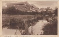Scheveningen Villas in Westbroekpark Holland Old Postcard