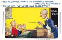 School Comic Postcards