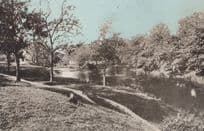 Schoolboy On Park Lime Pitts Walsall Dainty Series Old Postcard