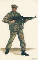 Scottish Army Corporal The Royal Scots 1972 Combat Dress Uniform Postcard