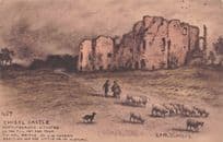 Sheep Farmer At Twizel Castle Northumberland Phillimore Rare Postcard