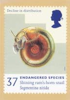 Shining Ram's Horn Snail Endangered Species FDC Postcard