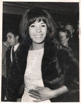 Shirley Bassey at 1960s WW2 Film Premiere Frank Sinatra 10x8 Press Photo Please Read