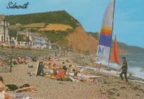 Sidmouth Gay Interest LGBT Devon Boat Beach Postcard