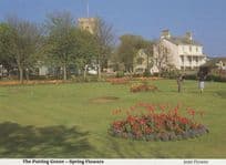 Sidmouth Putting Green Golf Golfing Devon 1980s Postcard