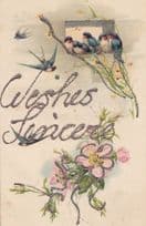 Sincere Greetings Blue Tit Bird REAL GLITTER ANTIQUE Postcard