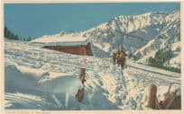 Skifelder Skking Ski Trip In Adelboden Early Colour Switzerland Postcard