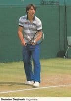 Slobadan Zivojinovic Yugoslavia Tennis Champion Rare Wimbledon Postcard