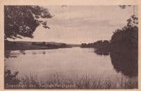 Snevringen Ved Svejboek Foergegaard Swedish River Antique Postcard