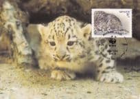 Snow Leopard Panthera Uncia WWF Rare Stamp FDC Postcard